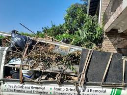 Best Recycling Services for Junk  in Maitland, FL